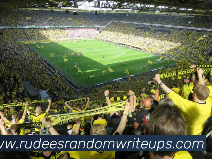 电竞直播专区